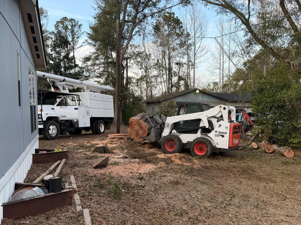 El Costeño Tree Service LLC